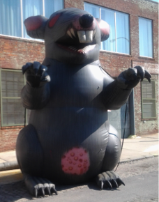 union-rat-7424830